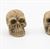 ART423 - Skull, Assorted, 1 Piece