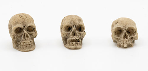 ART423 - Skull, Assorted, 1 Piece