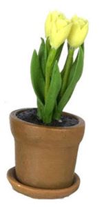 FCA2207YW - Tulip In Aged Pot, Yellow