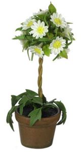 FCA2466 - White Daisy Topiary