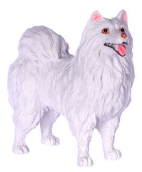 FCA4038 - Spitz, White