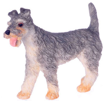 FCA4039 - Schnauzer