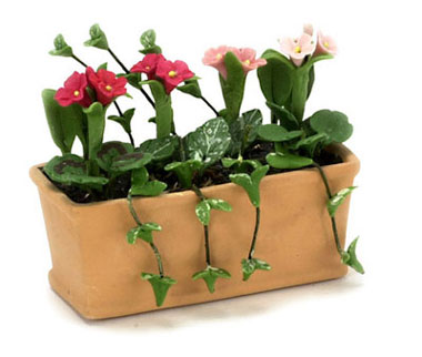 FCAB8166 - Flowers In Window Box