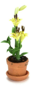 FCAB8182 - Yellow Lily In Pot