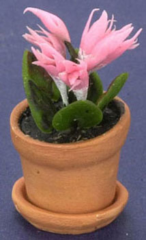 FCAB8183PK - Cyclamen In Pot, Pink