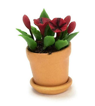 FCAB8192 - Pitunias In Pot, Red &amp; Black