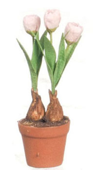 FCMR1026D - Tulips In Terra Cotta Pot, Pk