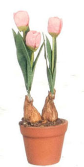 FCMR1026E - Tulips In Terra Cotta Pot, Lp