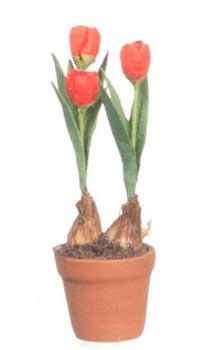 FCMR1026G - Tulips In Terra Cotta Pot, Or