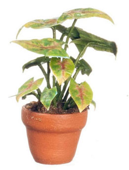 FCMR1044 - Green Plants