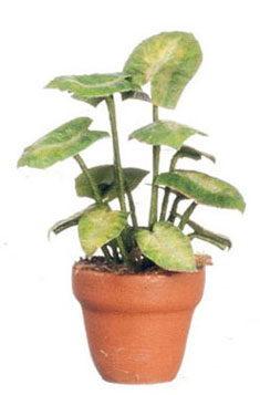 FCMR1049 - Green Plants