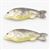 IM65164 - Fish, 2 pack  ()