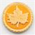LA128 - Pumpkin Pie with Leaf Design